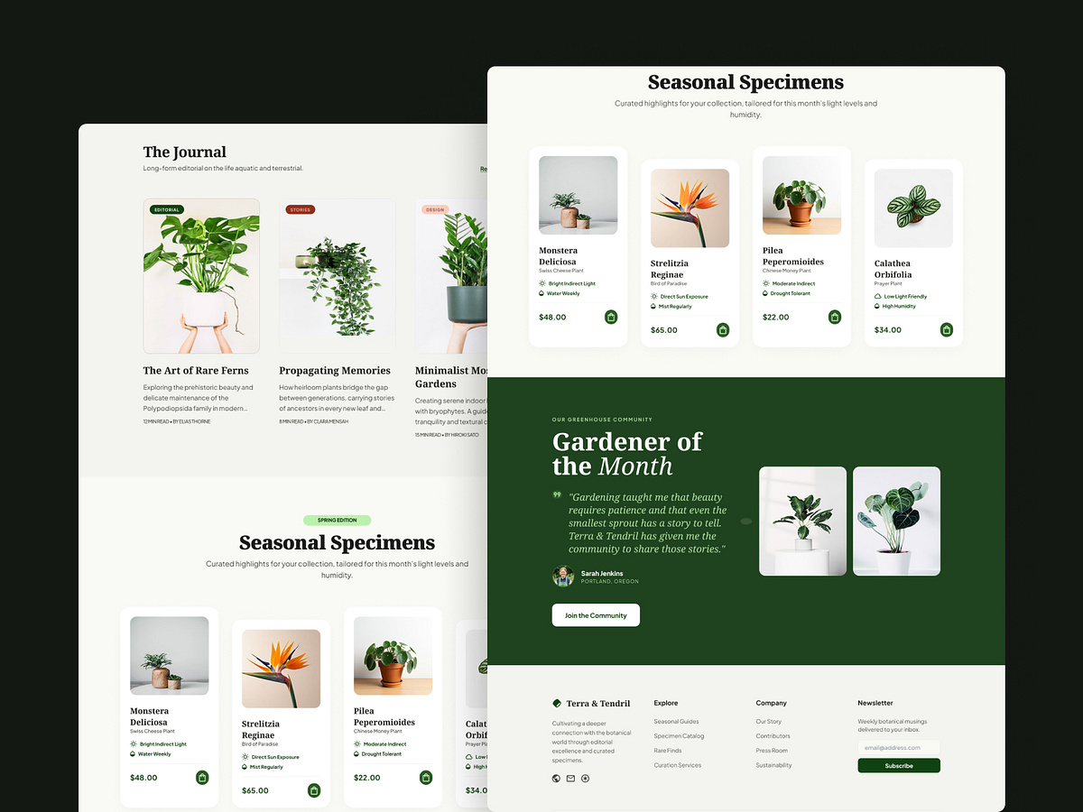 Terra & Tendril —  E-commerce Website Image 2