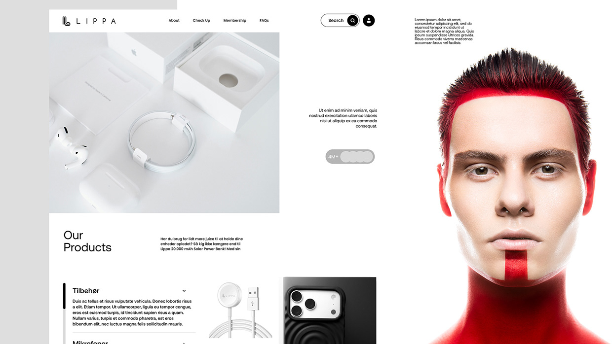 Lippa Electronics Visual Identity Image 25