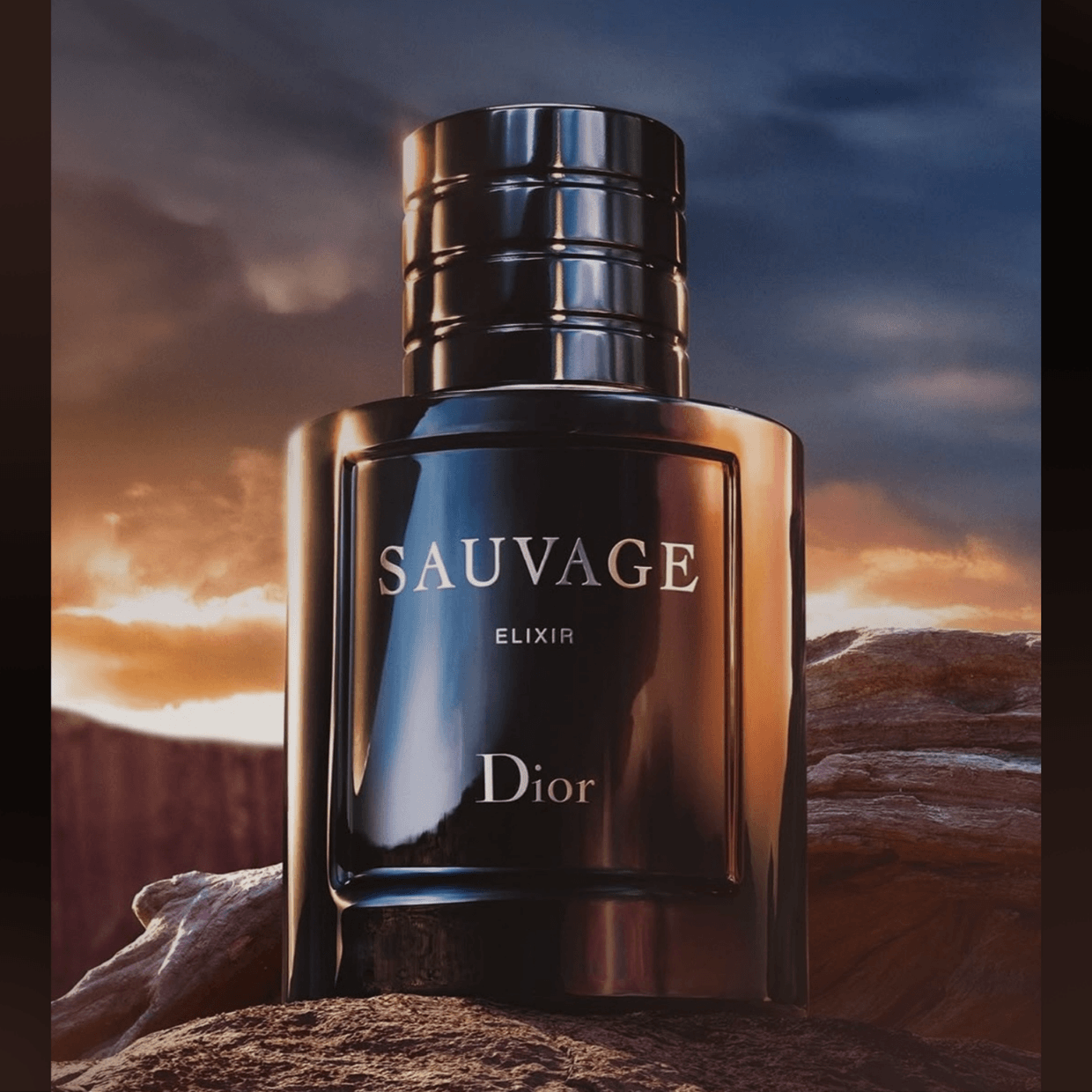 Dior Brand identity Image 2