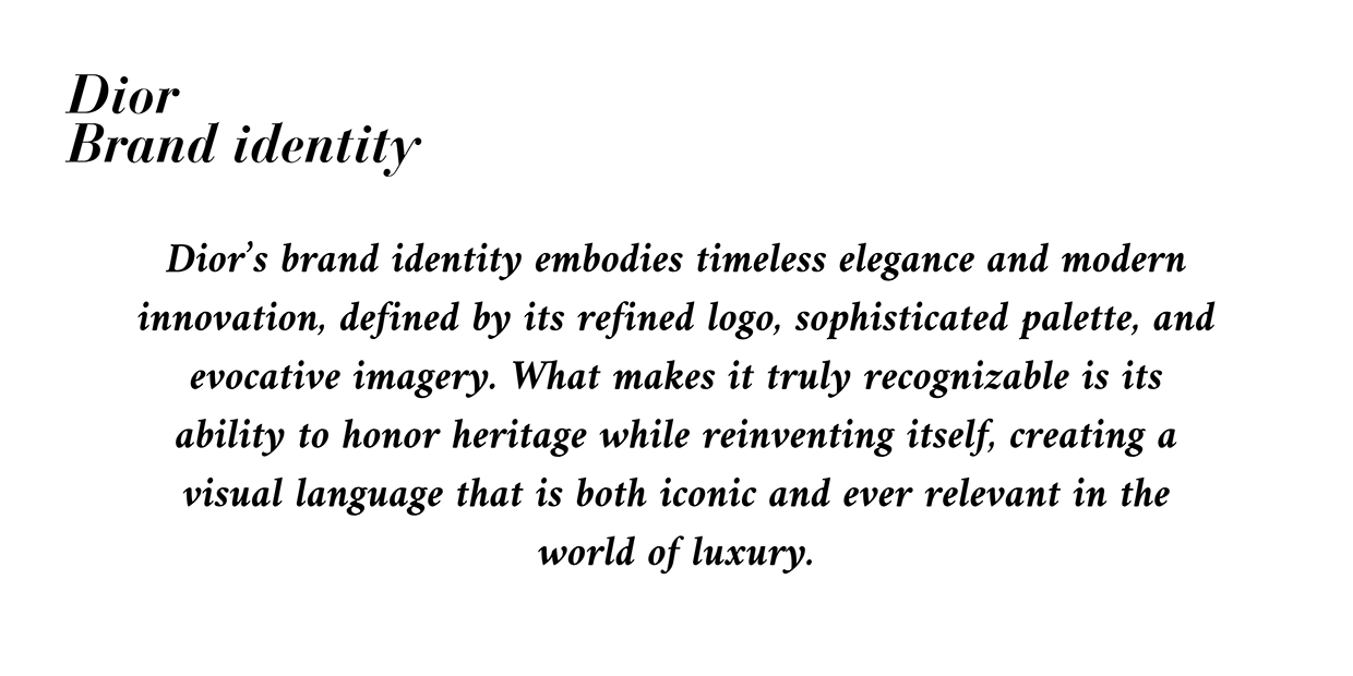 Dior Brand identity Image 3