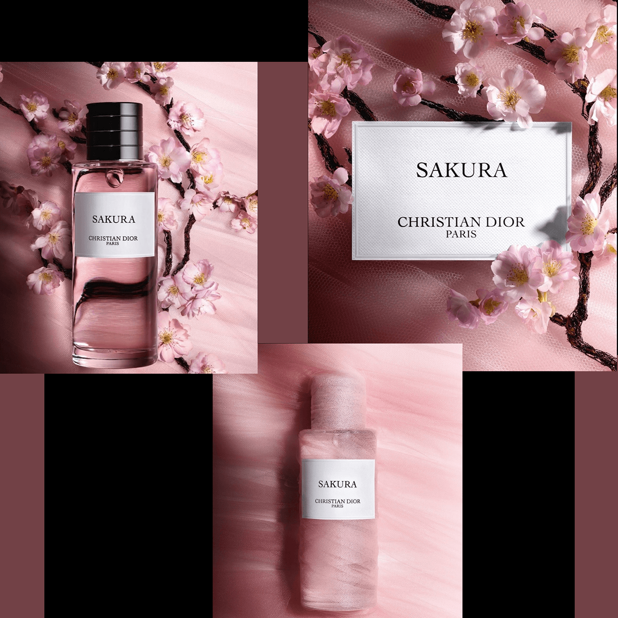 Dior Brand identity Image 14