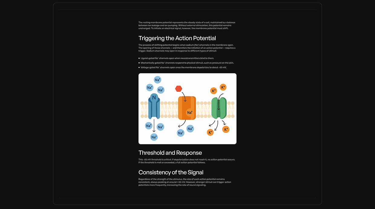 APVist — Interactive Neurobiology Learning Platform Image 5