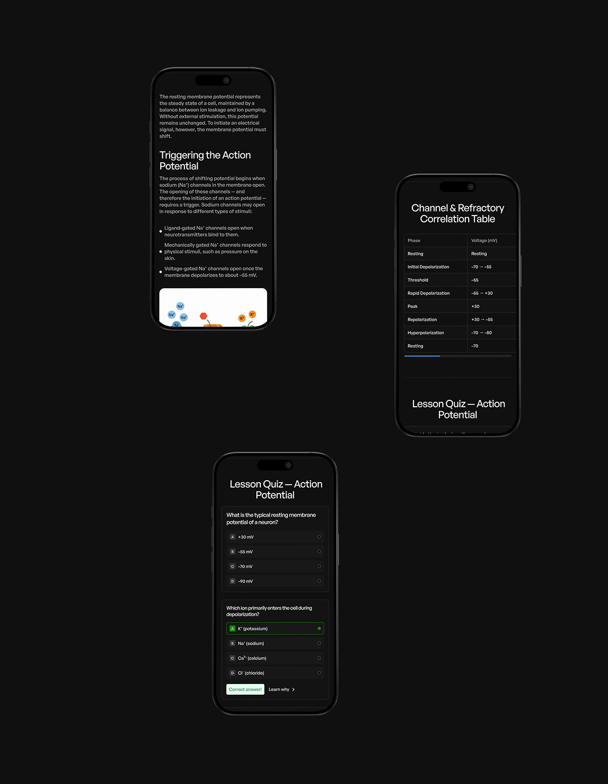 APVist — Interactive Neurobiology Learning Platform Image 6