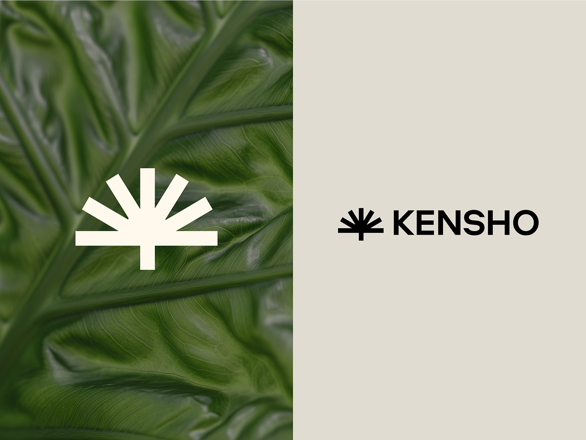 Visual Identity and Website Design for a Wellness Brand Image 0