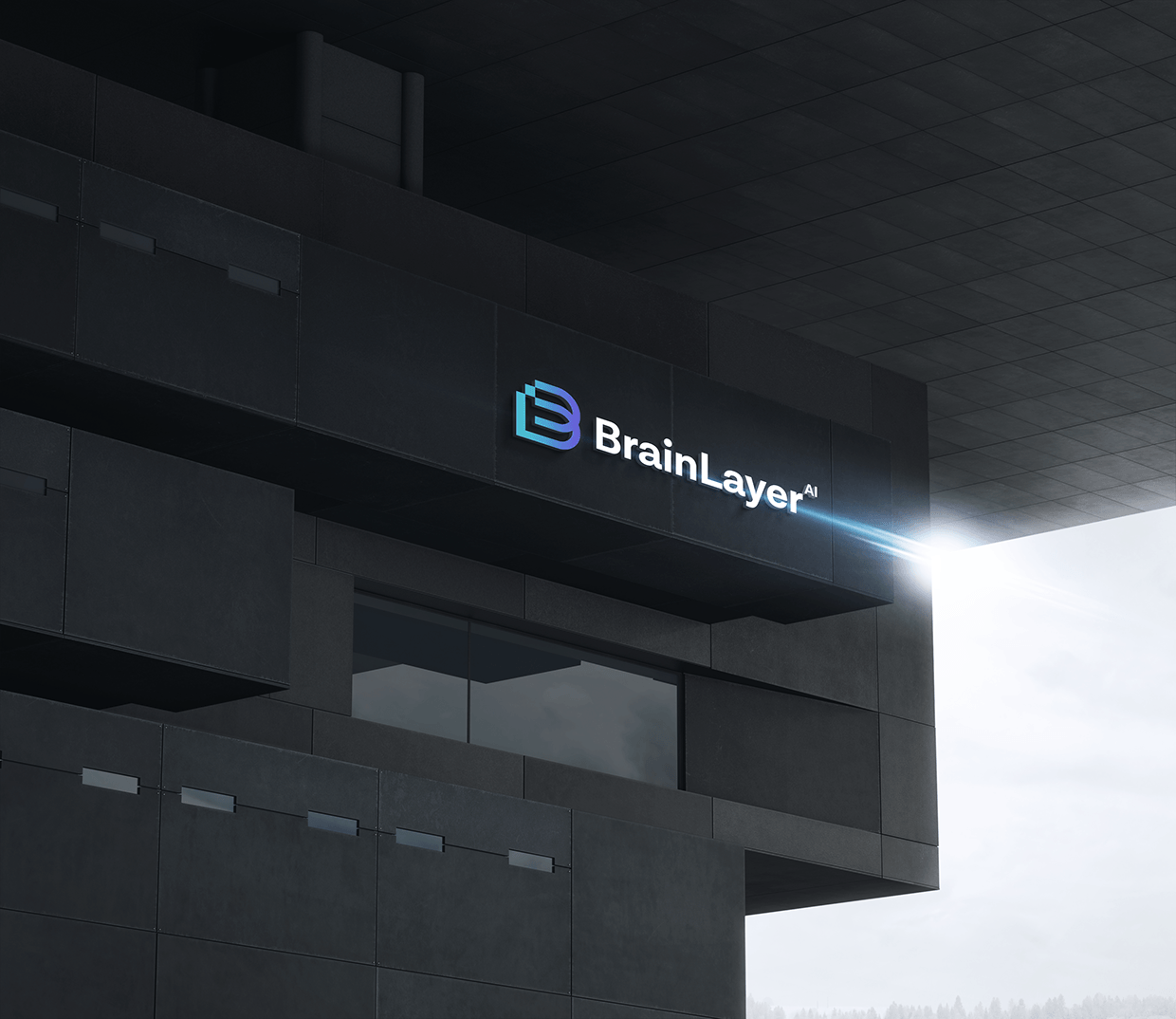 BrainLayer | Technology Logo & Brand Identity Design Image 12