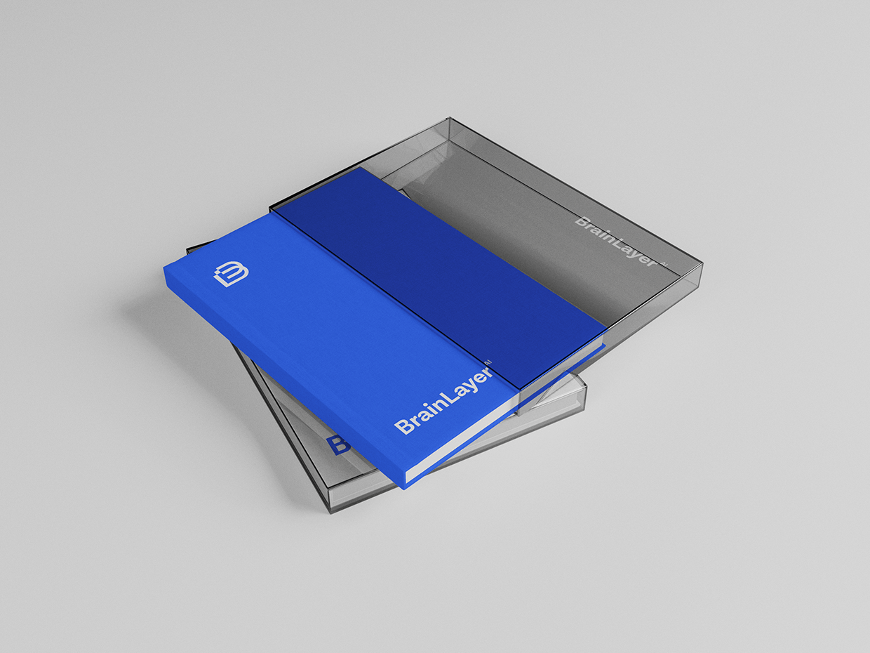 BrainLayer | Technology Logo & Brand Identity Design Image 15