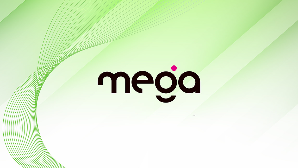 Mega | Creative Digital Agency Brand Identity Design Image 1
