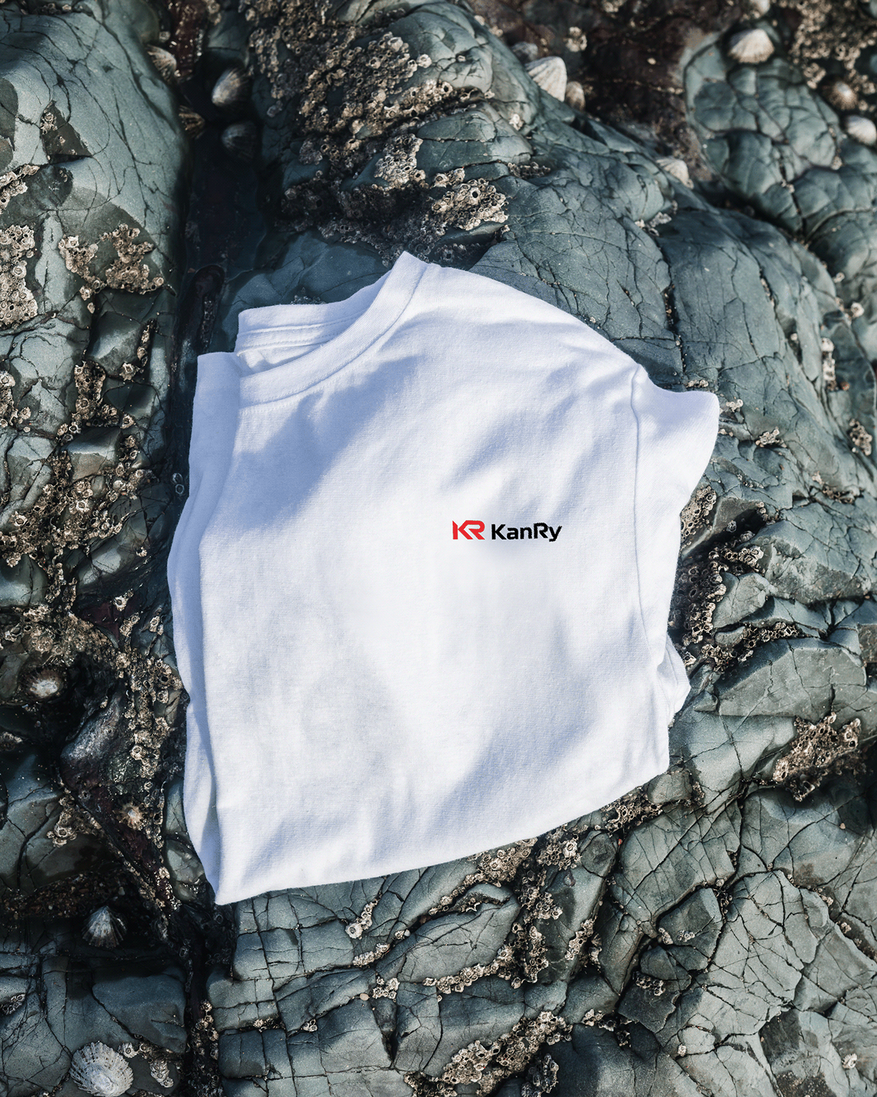 KenRy | Automotive Logo & Brand Identity Design Image 7