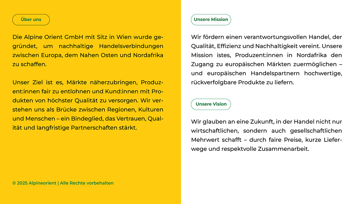 Alpine Orient — Sustainable Trade Brand Identity Image 0