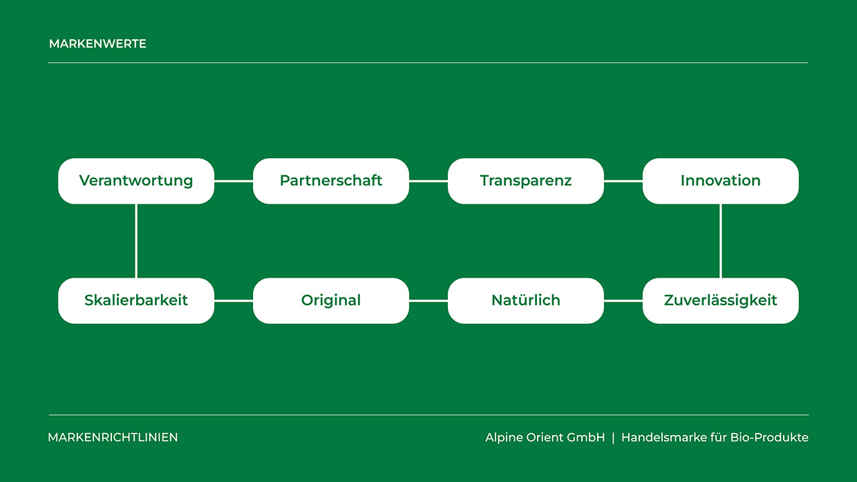 Alpine Orient — Sustainable Trade Brand Identity Image 1