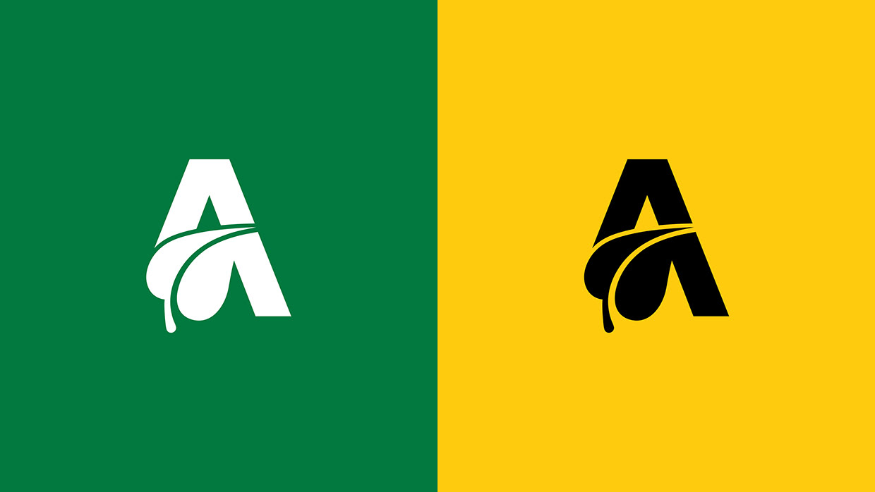 Alpine Orient — Sustainable Trade Brand Identity Image 3