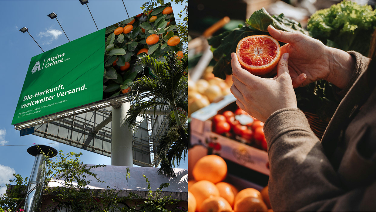 Alpine Orient — Sustainable Trade Brand Identity Image 39