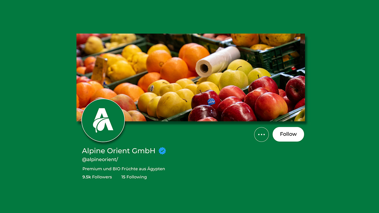 Alpine Orient — Sustainable Trade Brand Identity Image 40
