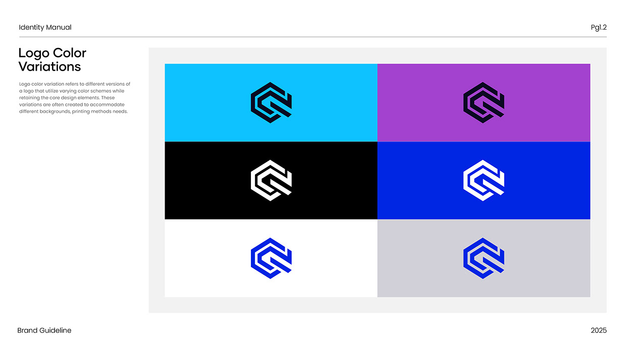 QIVO | Modern SaaS & Tech Platform Branding Image 3