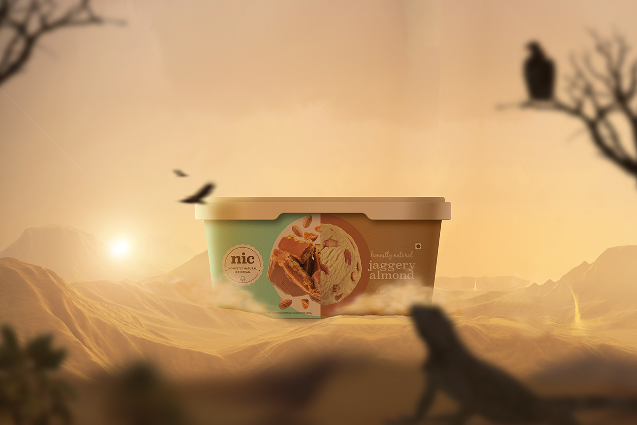 NIC Ice Cream Image 2
