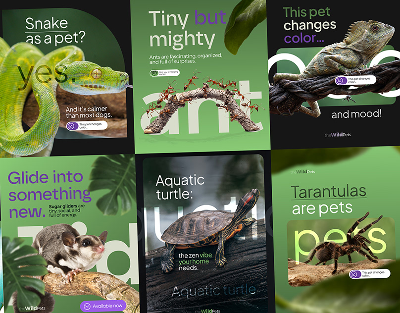 Pet Shop Wild | Social Media