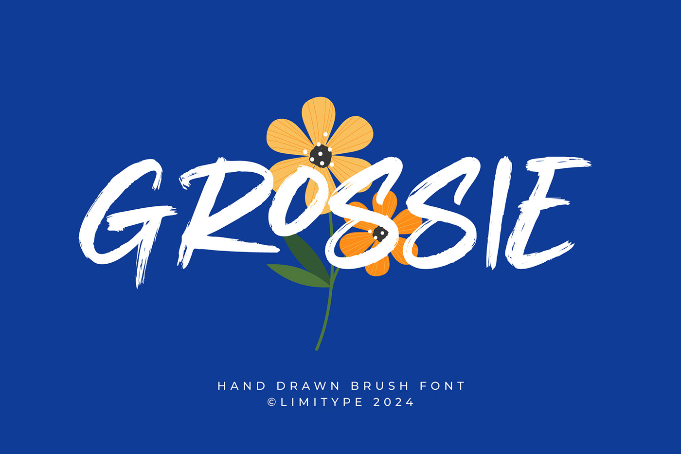 Grossie - Hand drawn brush Font