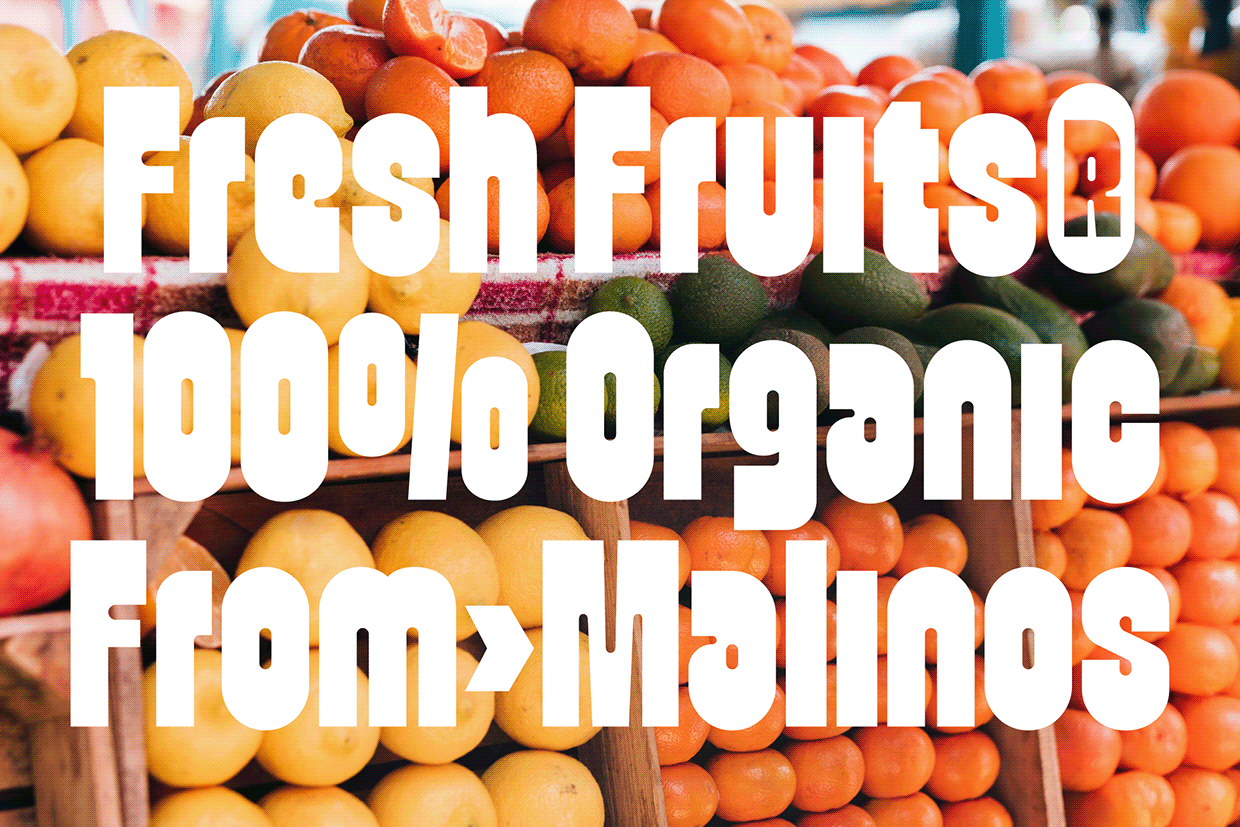 Veggie - Bold Font Image 7