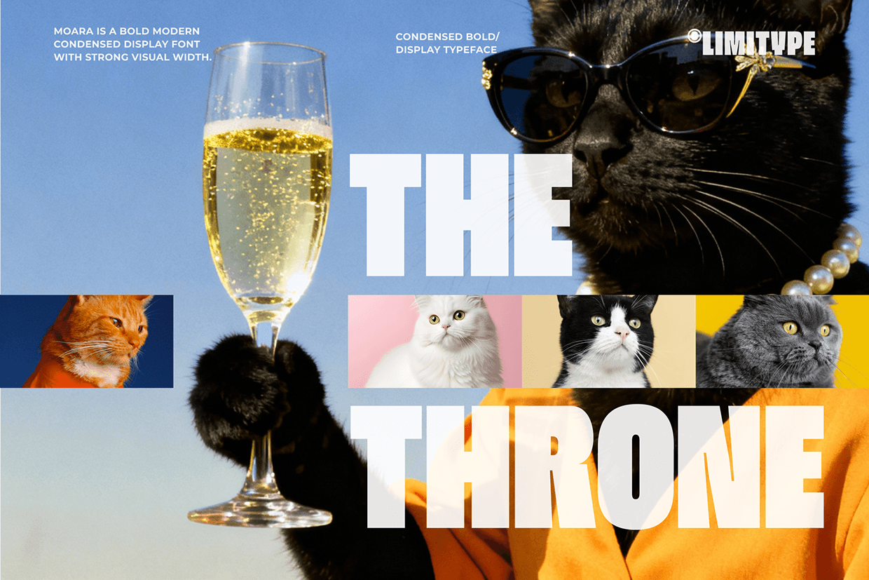 Moara - Condensed Bold Font Image 0