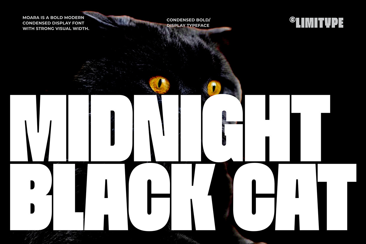 Moara - Condensed Bold Font Image 1