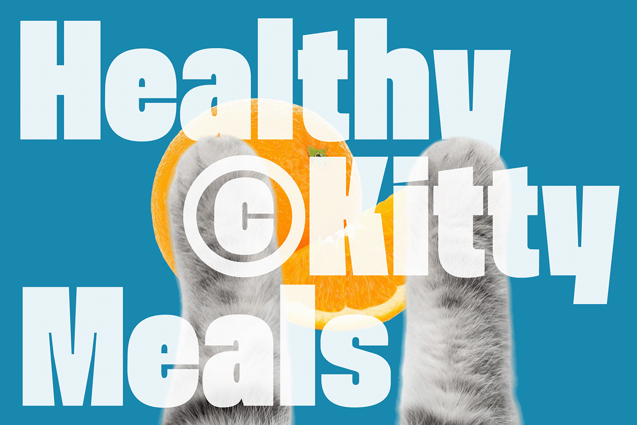 Moara - Condensed Bold Font Image 4