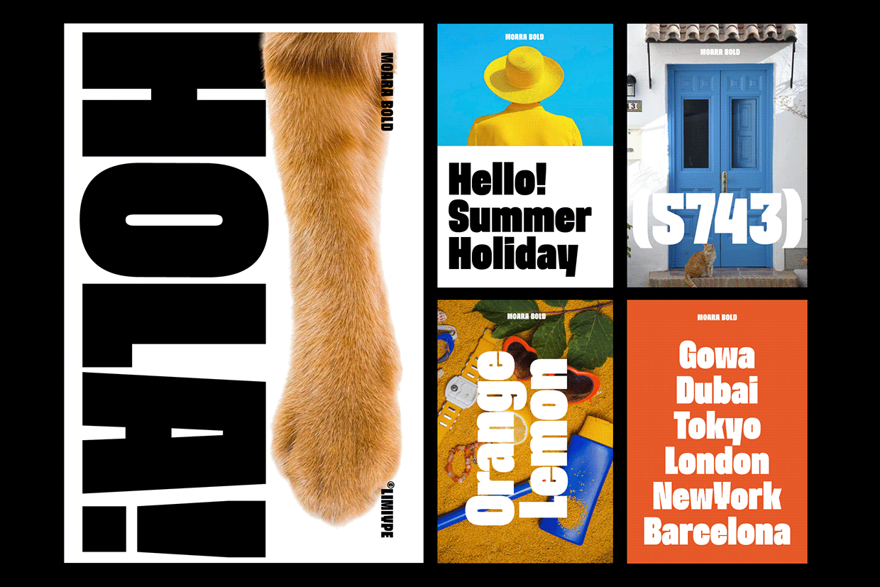 Moara - Condensed Bold Font Image 5