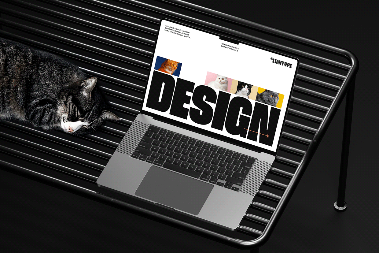 Moara - Condensed Bold Font Image 6