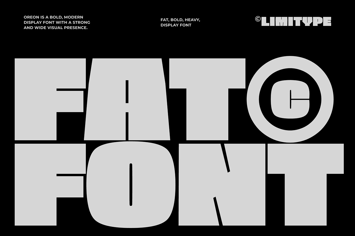 Oreon - Bold Font Image 3