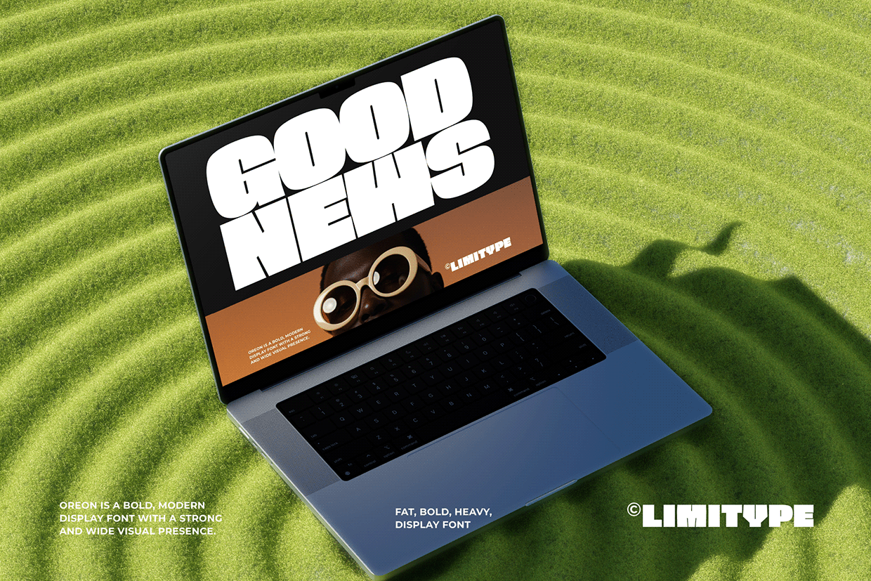 Oreon - Bold Font Image 5