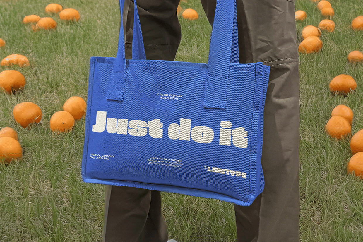 Oreon - Bold Font Image 6