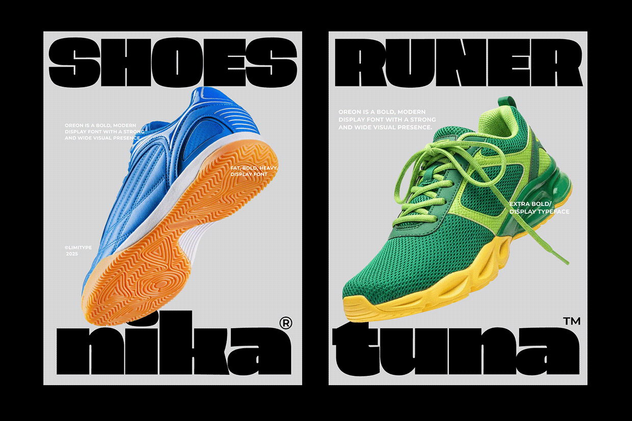 Oreon - Bold Font Image 8