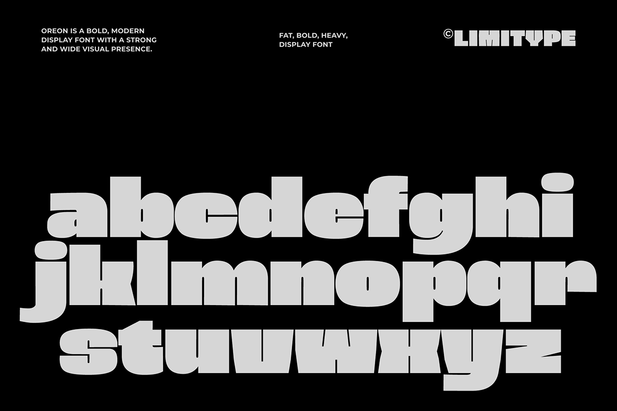 Oreon - Bold Font Image 11