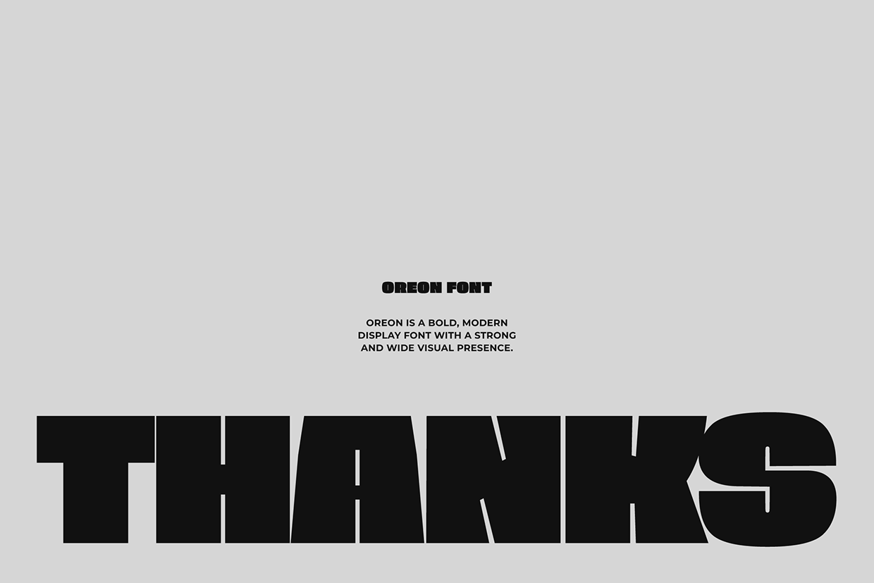 Oreon - Bold Font Image 13