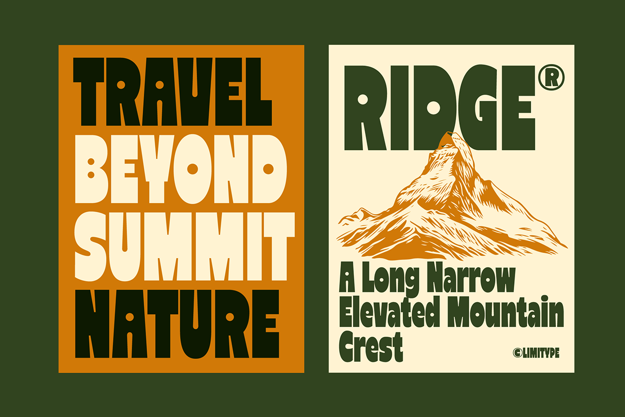 Reiger - Bold Condensed Font Image 0