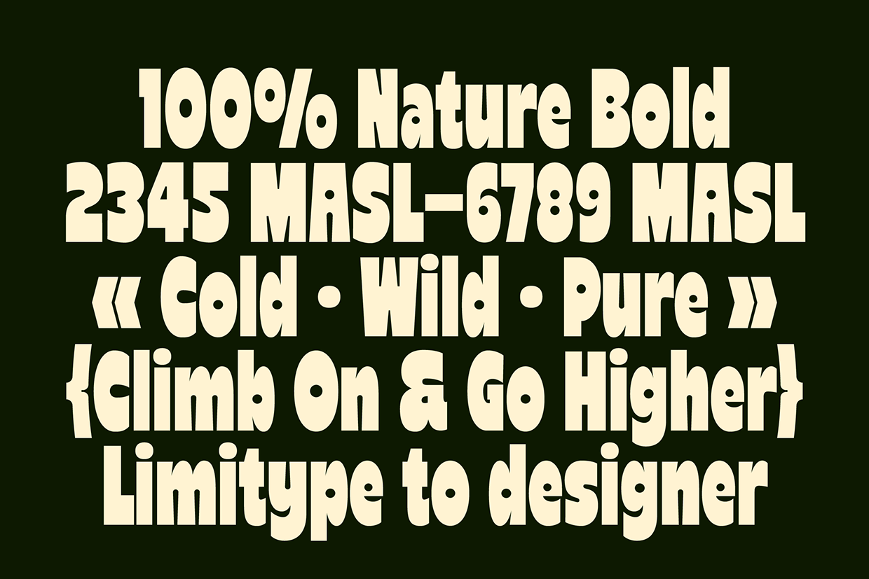Reiger - Bold Condensed Font Image 2