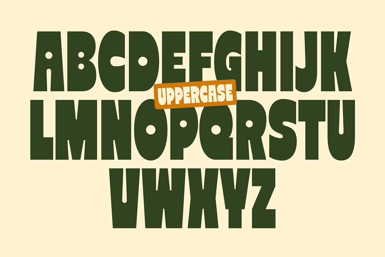 Reiger - Bold Condensed Font Image 4