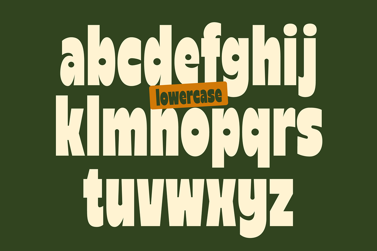 Reiger - Bold Condensed Font Image 5