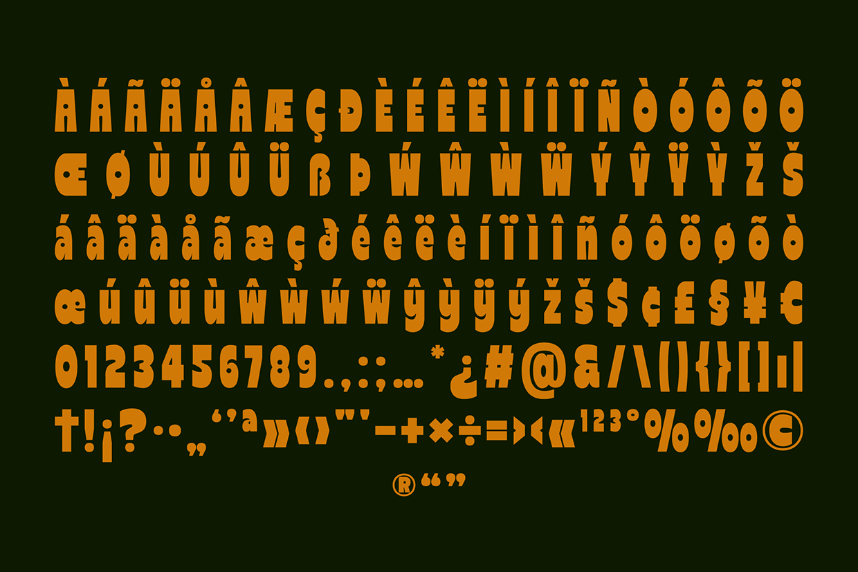 Reiger - Bold Condensed Font Image 8