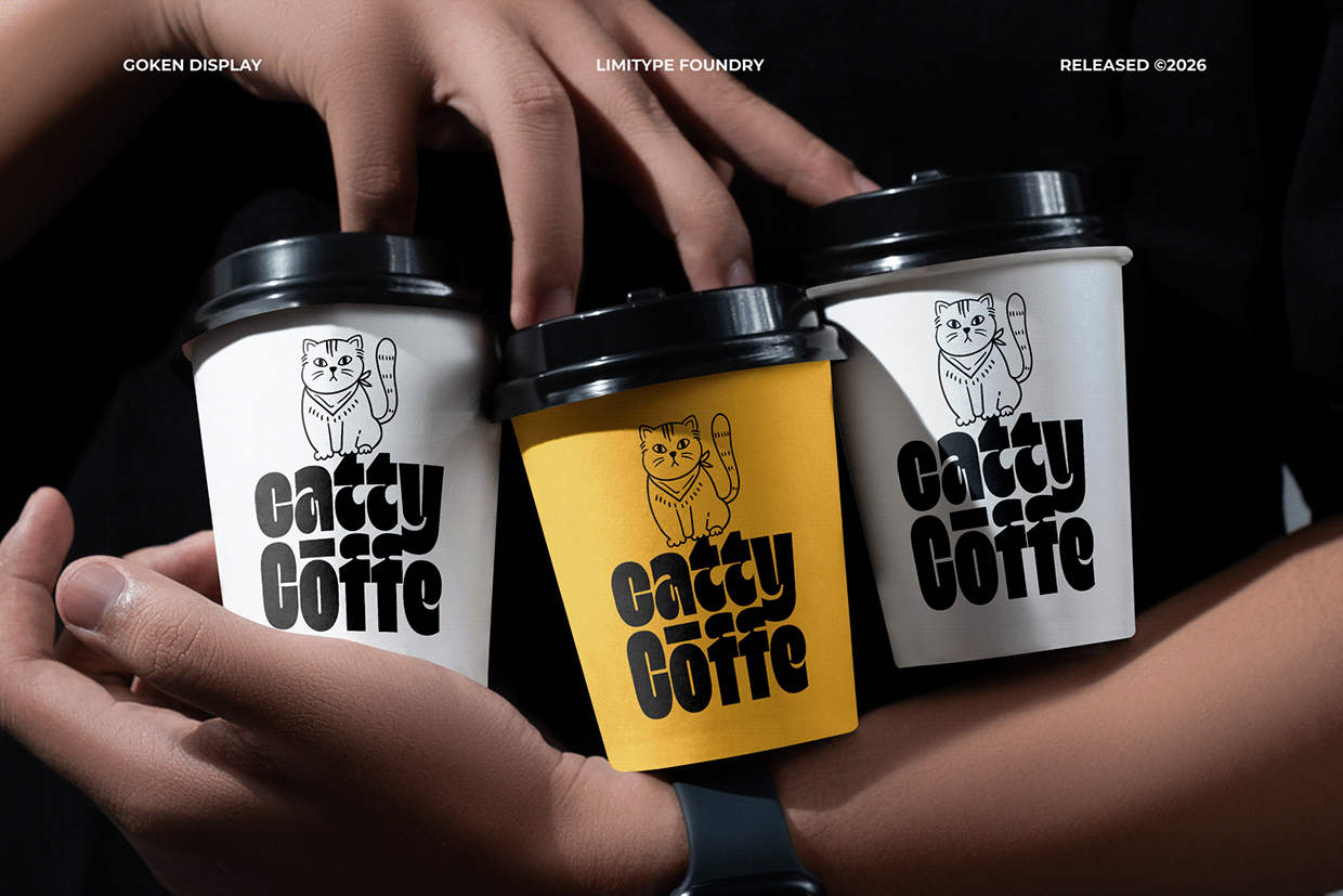 Goken - Bold Font Image 0