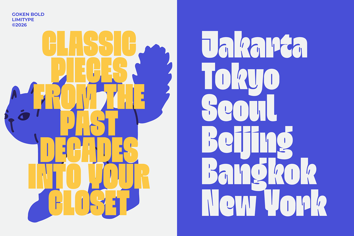 Goken - Bold Font Image 3