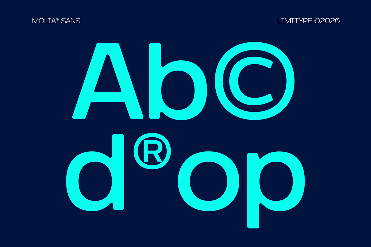 Molia - Sans Serif Font Image 2