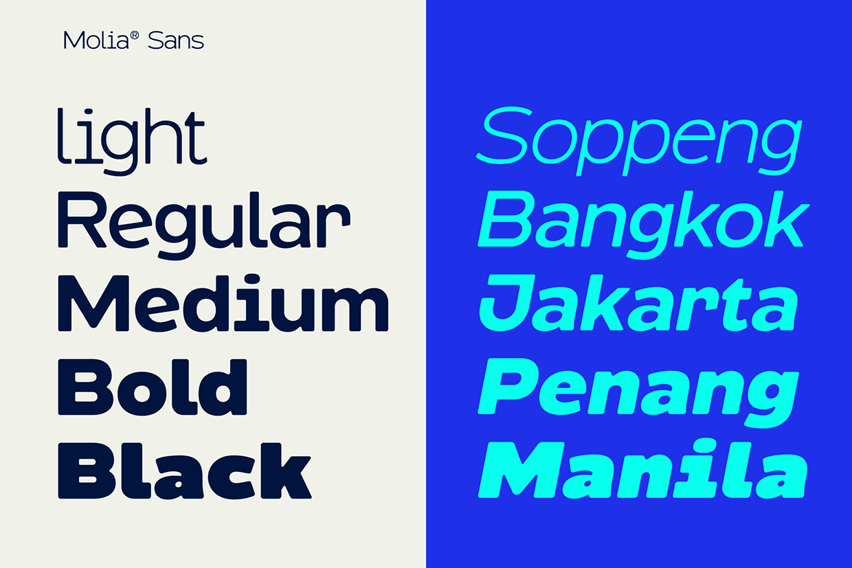 Molia - Sans Serif Font Image 4