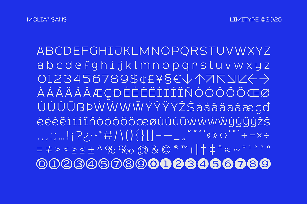Molia - Sans Serif Font Image 9