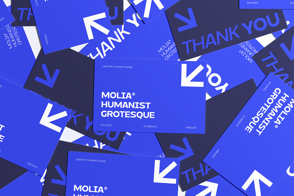 Molia - Sans Serif Font Image 10