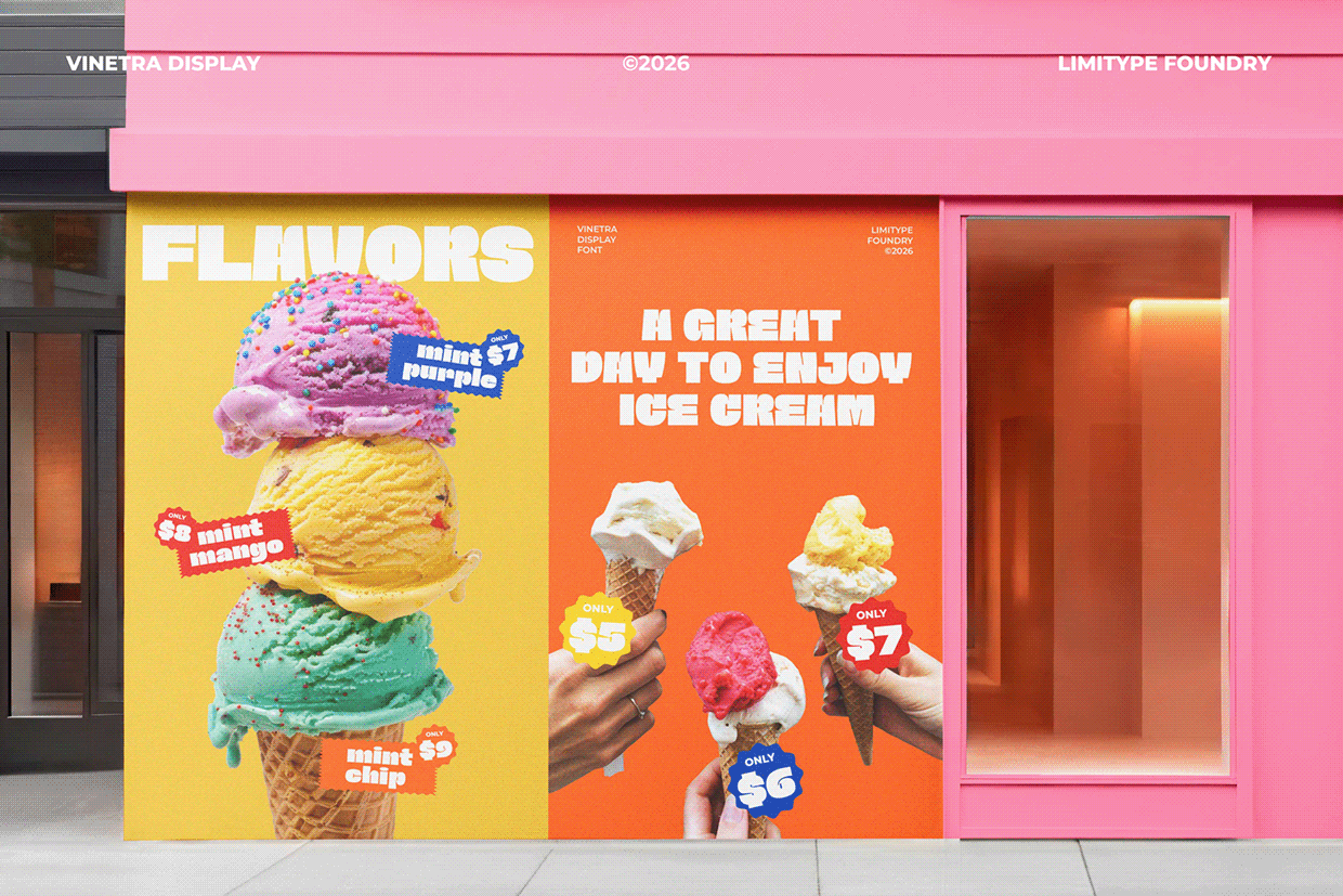 Vinetra - Bold Font Image 1