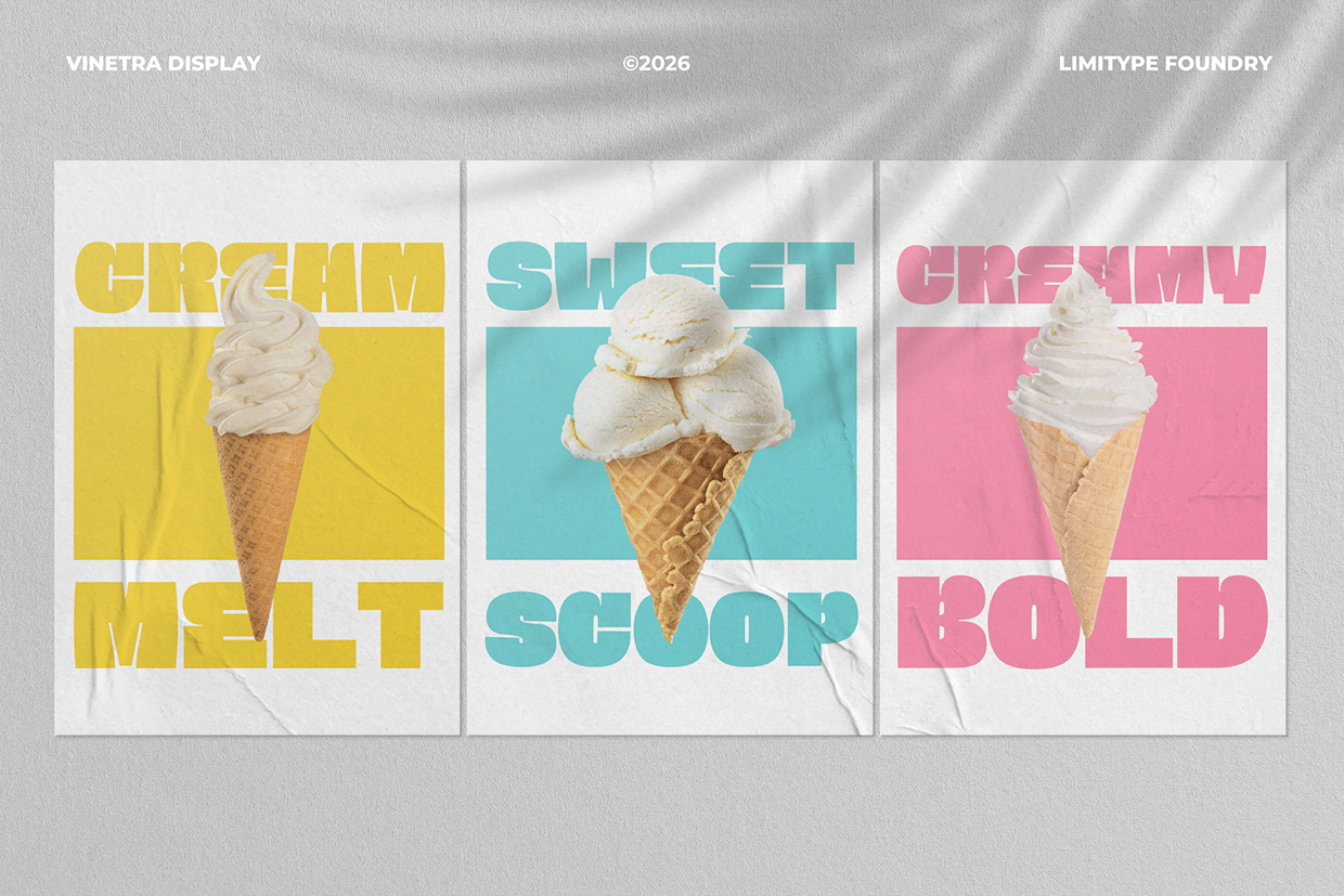 Vinetra - Bold Font Image 3