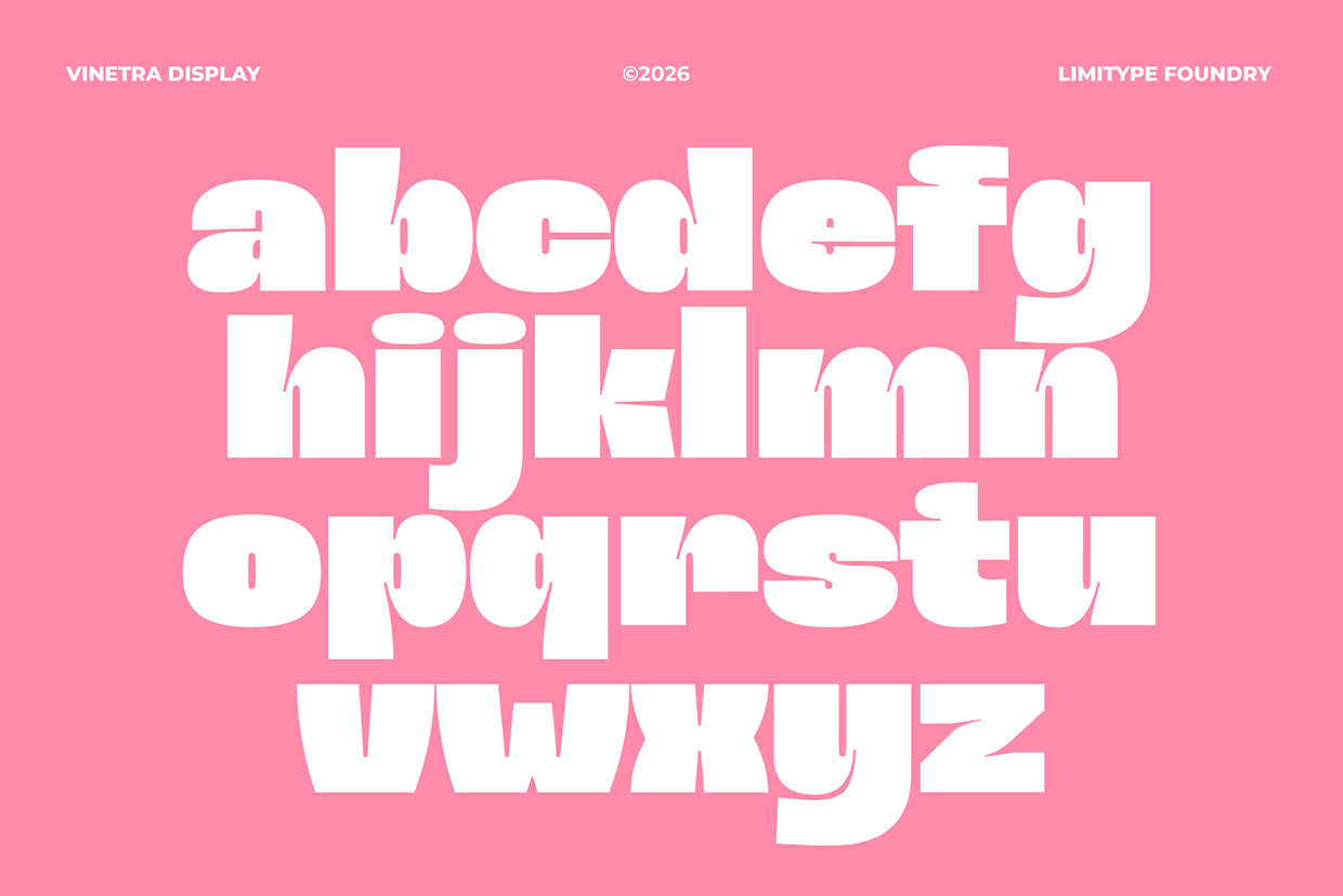 Vinetra - Bold Font Image 5