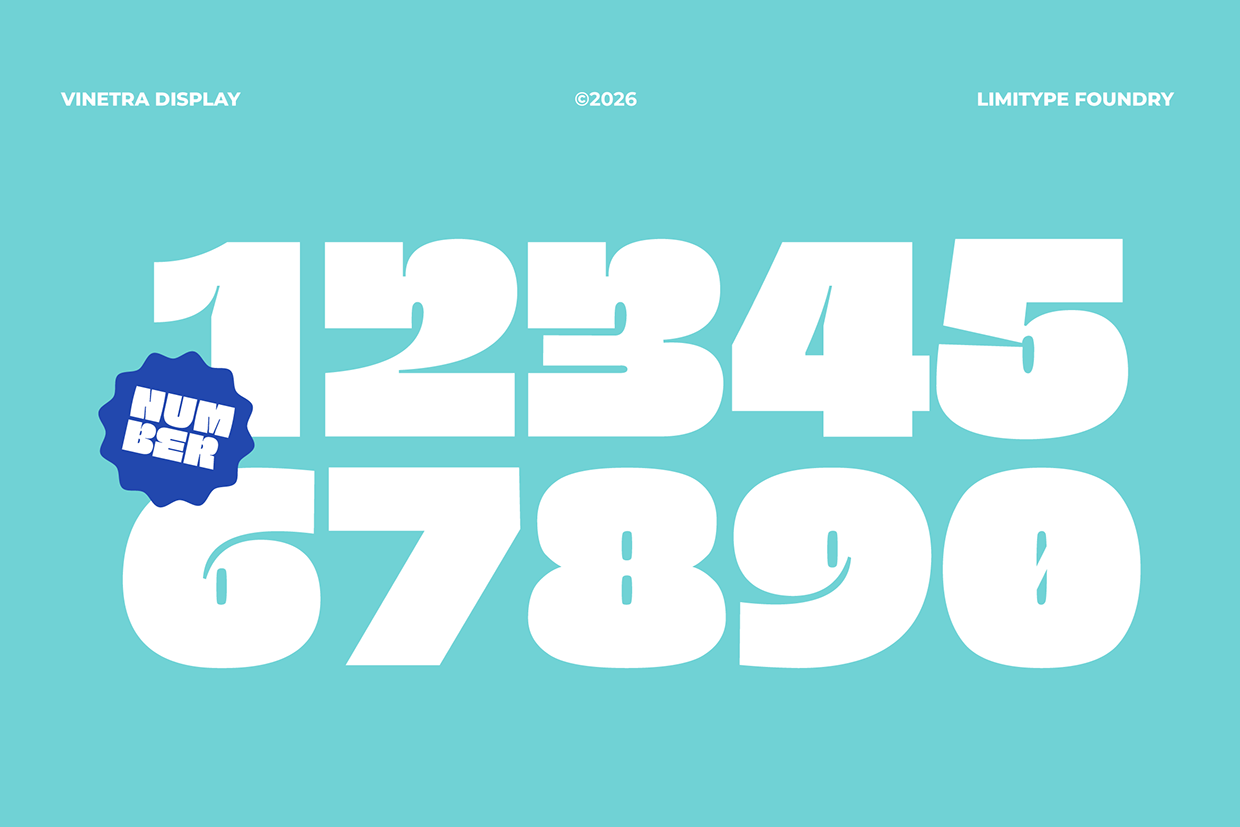 Vinetra - Bold Font Image 6