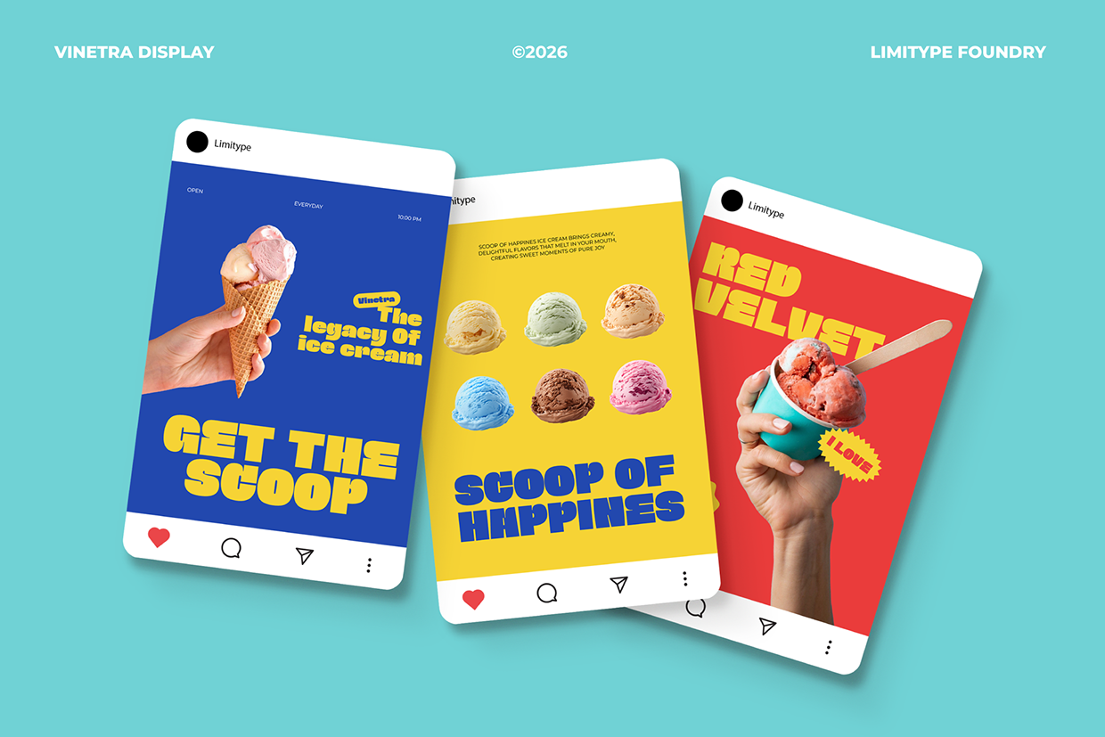 Vinetra - Bold Font Image 7