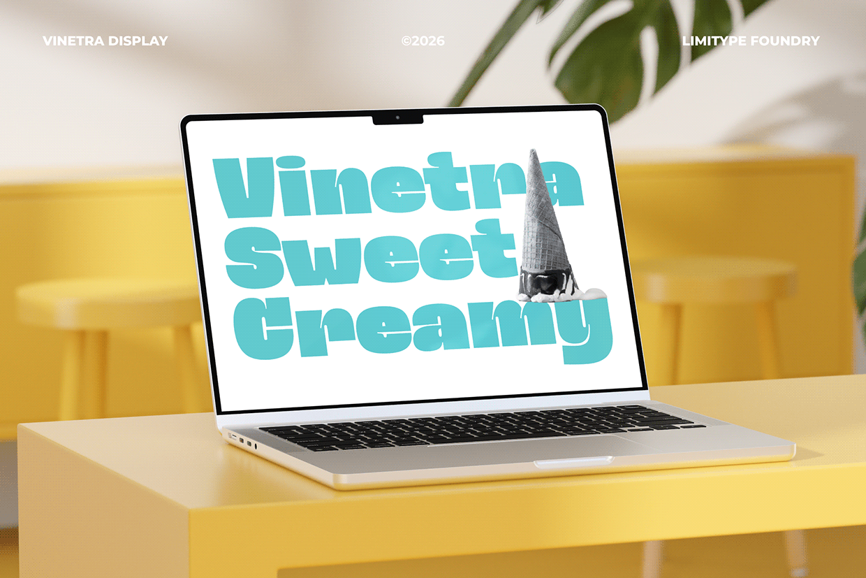 Vinetra - Bold Font Image 8